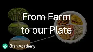Farm to our Plate | Mindful Eating | Middle School | Science | Khan Academy