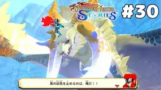 よくそこに立ってられるな【モンスターハンターストーリーズ】Part30