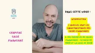 Les crises financières (Partie 1) - SES