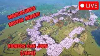 MineColonies Server Day 8 LIVE! Viewers Can Join!