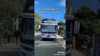 wispector