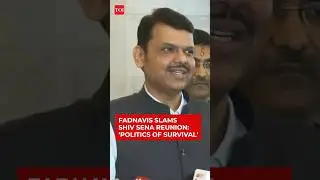 &lsquo;As If Russia, Ukraine Came Together&rsquo;: Fadnavis Jibes At Thackeray Cousins