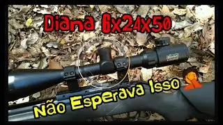 🔴Luneta diana 6x24x50 será que forcei a barra! J3 caça e pesca.