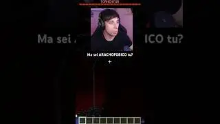 &ldquo;Ma sei ARACNOFOBICO?&rdquo; #minecraft #minecrafthorror #minecraftmods