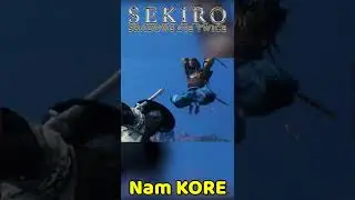 Sekiro Okami Warrior #shorts #sekiro #sekiroshadowsdietwice