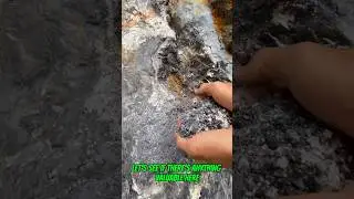 #goldrush 2025 The result is 16 grams of gold and here&rsquo;s how I got it #goldmining #goldpanning