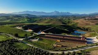 RAZZOLINO il pollo del Gran Sasso, con la Carta d'Identità