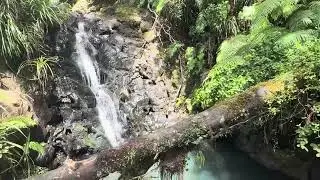 rtw1 16 AuCkLaNd