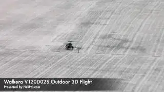 HeliPal.com - Walkera V120D02S 3D Flight (HD)