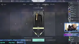 Radiant Sova | RU / Eng | Challengermode.