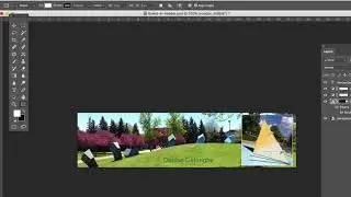Vector Shape