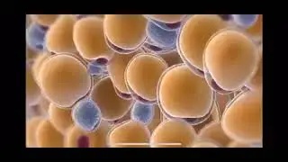 YourHealthFirst Clinic - Cryolipolysis Treatment
