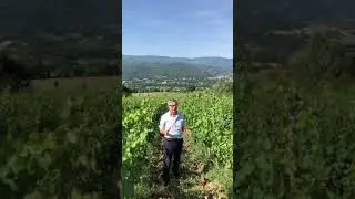 Federico Staderini Discussing Brendino