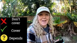 Quick List of what to Cover and NOT Cover in the Food Forest | Southern Latitudes