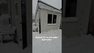 🗯 #vinterland #lifewithhorses #winterinsweden 🇸🇪 #horseshorts #snow