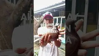 VIDIOE AKSI JABLAY.MR.BEAN MUTIARA