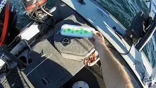 NFN's - Big Johnson Blades from Big Weenie Brand New Salmon Flasher Paddle Downrigger Camera view