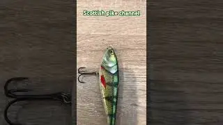 Berkley zilla glider 10cm 18g perch #berkleyfishing #fishingequipment #fishinglure
