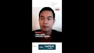 PSEi sees modest gains | ANC