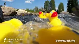 2022 Summit Foundation Great Rubber Duck Race