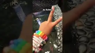 I NEED THE FISH #therian #kobes #funny