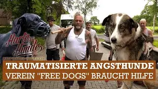 Ein Einsatz voller Emotionen, Herausforderungen und echter Hundeschicksale 🥺💔 | Harte Hunde
