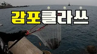 감포바다가 허락한 선물