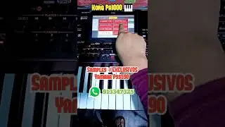 🔴Samples Exclusivos Yamaha Pss590 para el korg Aeminpu