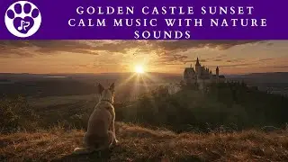 🏰 Golden Castle Sunset & Nature Sounds | Calming Ambient Music for Dogs & Cats