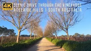 [4K] Scenic Drive through the vineyards | Adelaide Hills South Australia