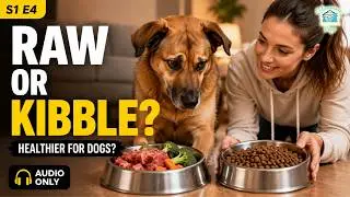 Raw Food vs. Kibble: Which Is Best? E4 S1