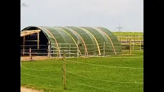 Pferde Koppel - Zelt f&uuml;r Kaltbl&uuml;ter / witzige Zeitraffer Aufnahme / Time Lapse