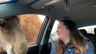 Quality Nonsense #3 &mdash; It Got Worse. Quickly.