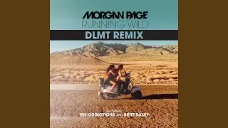 Running Wild (DLMT Remix)