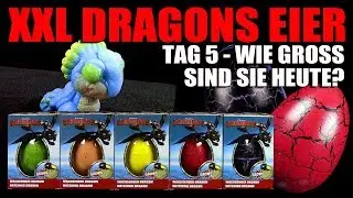 CRAZE ® XXL Dragons im Ei - Baby Toothless & Co. Tag 5: wie gross sind sie heute?