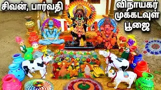 உலகைக் காப்பாற்ற முக்கடவுளுக்கு பூஜை நடத்திய குழந்தைகள் |black and blue barbies
