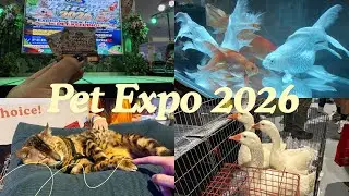 Pet Expo Philippines Day 2 | Walk tour 🐾 | 2026 🌞