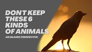 Don't Keep These 6 Kinds of Animals | Islamic perspective