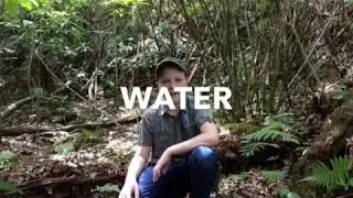 Water Procurement