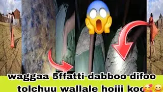 dabboo difoo toolcha jedhee wallale waggaa 5ffaatti saafuudha 😱😀