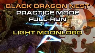 Black Dragon Nest Practice Mode - Light Party MoonLord POV Full Run ~ !