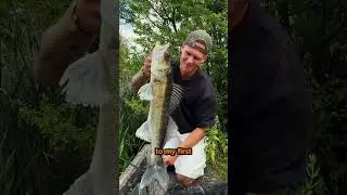 Say HEY to Mats Fishing Vlog 1 🎣👨&zwj;🦱 #savagegear #fishing #adventure