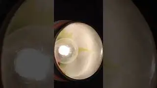 GE 25watt light bulbs