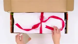 Gift Box of Houseplants