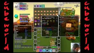Picaro (Rogue) Cube World