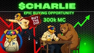$Charlie on Base - Jeets Sold at 300k, & Future Legends Bought