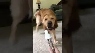 He&rsquo;s so vicious!