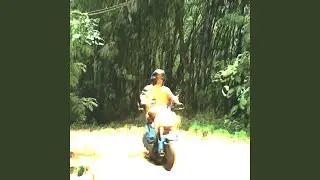 Холивар