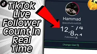 Как подсчитывать количество подписчиков в TikTok Live в режиме реального времени | Android/iPhone