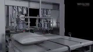 Automatic Bag In Box Systems